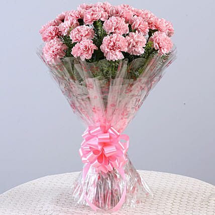 Adorable Bunch Of 24 Pink Carnations
