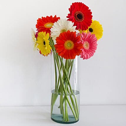 Cheerful Gerbera Blossoms Vase