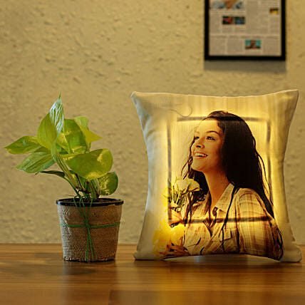 Money Plant Personalised LED Cushion