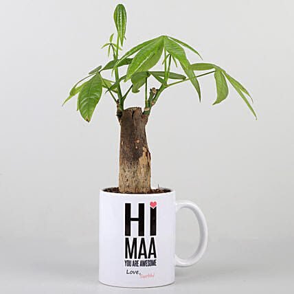 Pachira Plant In Personalised Hi Maa Mug