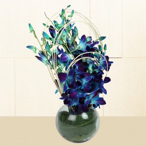 Vase of Blue Orchids